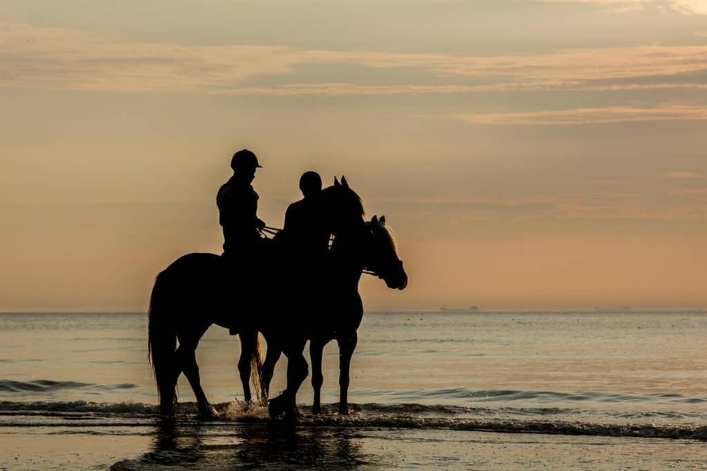 Hoekje Up Katwijk aan Zee Exterior foto